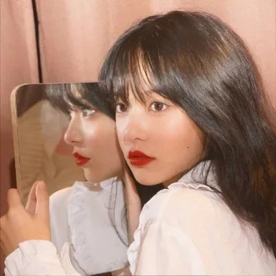 寻狗记